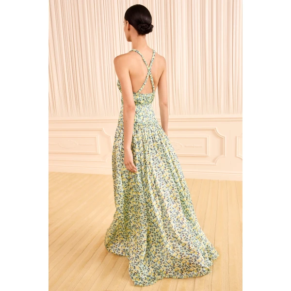 Ulla Johnson Demetra Gown in Acacia