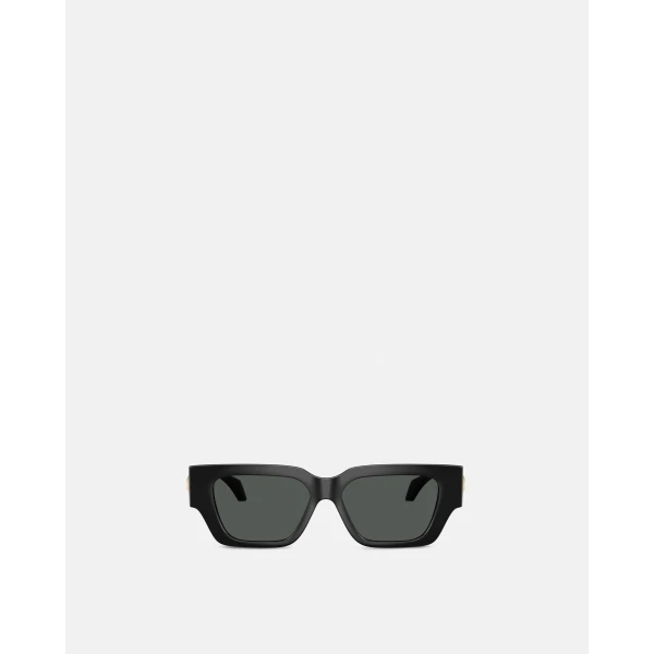 Versace Medusa Plaque Sunglasses in Black Metal, view 2 | Sunglasses