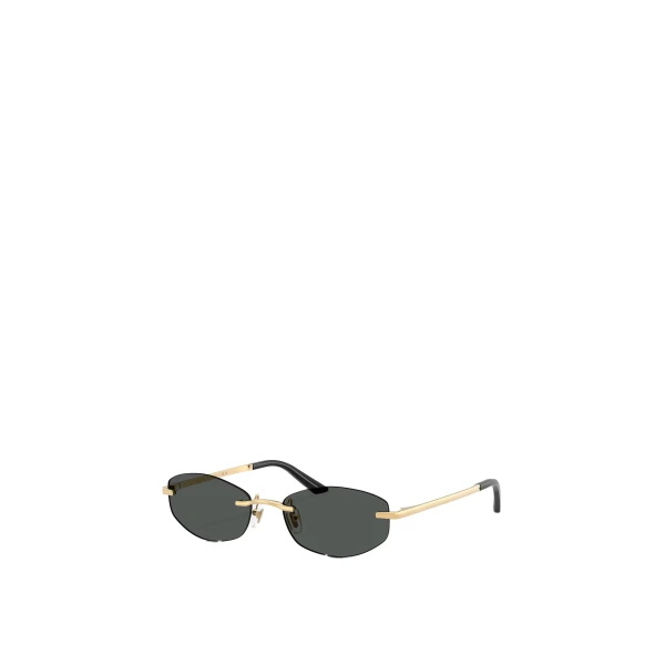 Signature Sunglasses in Black and Gold Metal