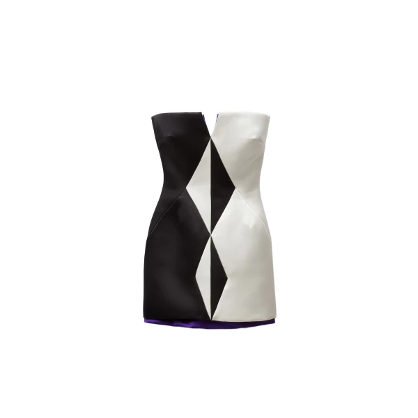 Versace Silk Duchesse Mini Dress in Black and White | Mini Dresses | Coveti