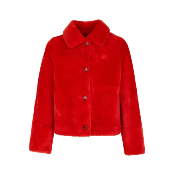 Short Merino Lambskin Shearling Jacket in Orange