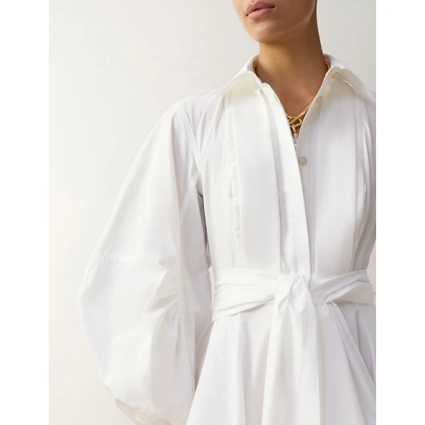 buy Zimmermann online