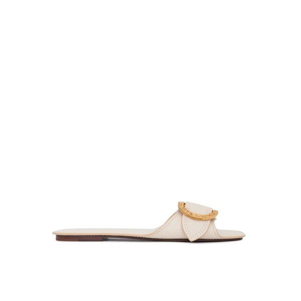 Solena Slide