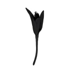 Erdem Satin Flower Brooch in Black | Brooches & Pins | Coveti